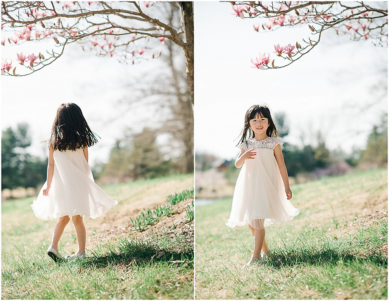 A little girl in a white dress is twirling under the magnolia tree. 