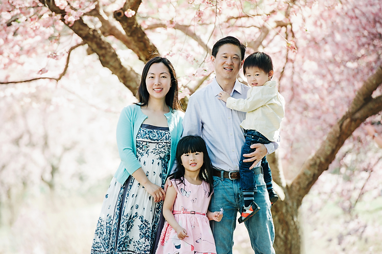 A family of 4 are standing by a cherry blossom tree