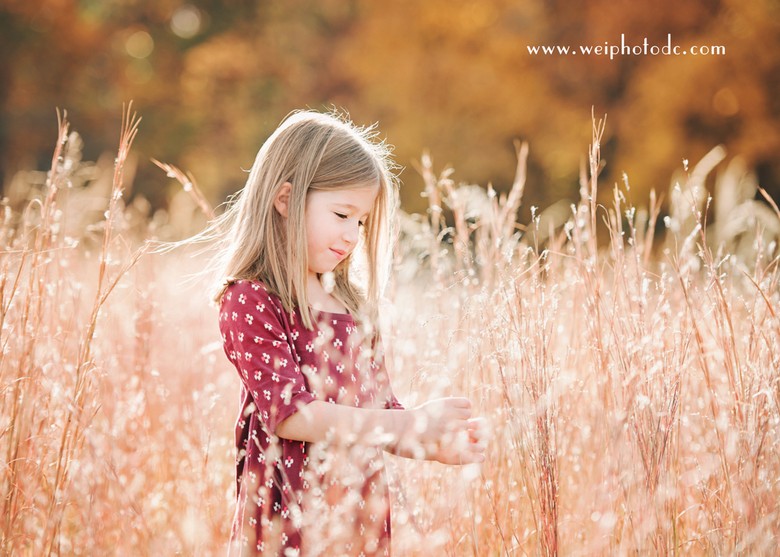 a girl wearing purple dress standing in red grass field